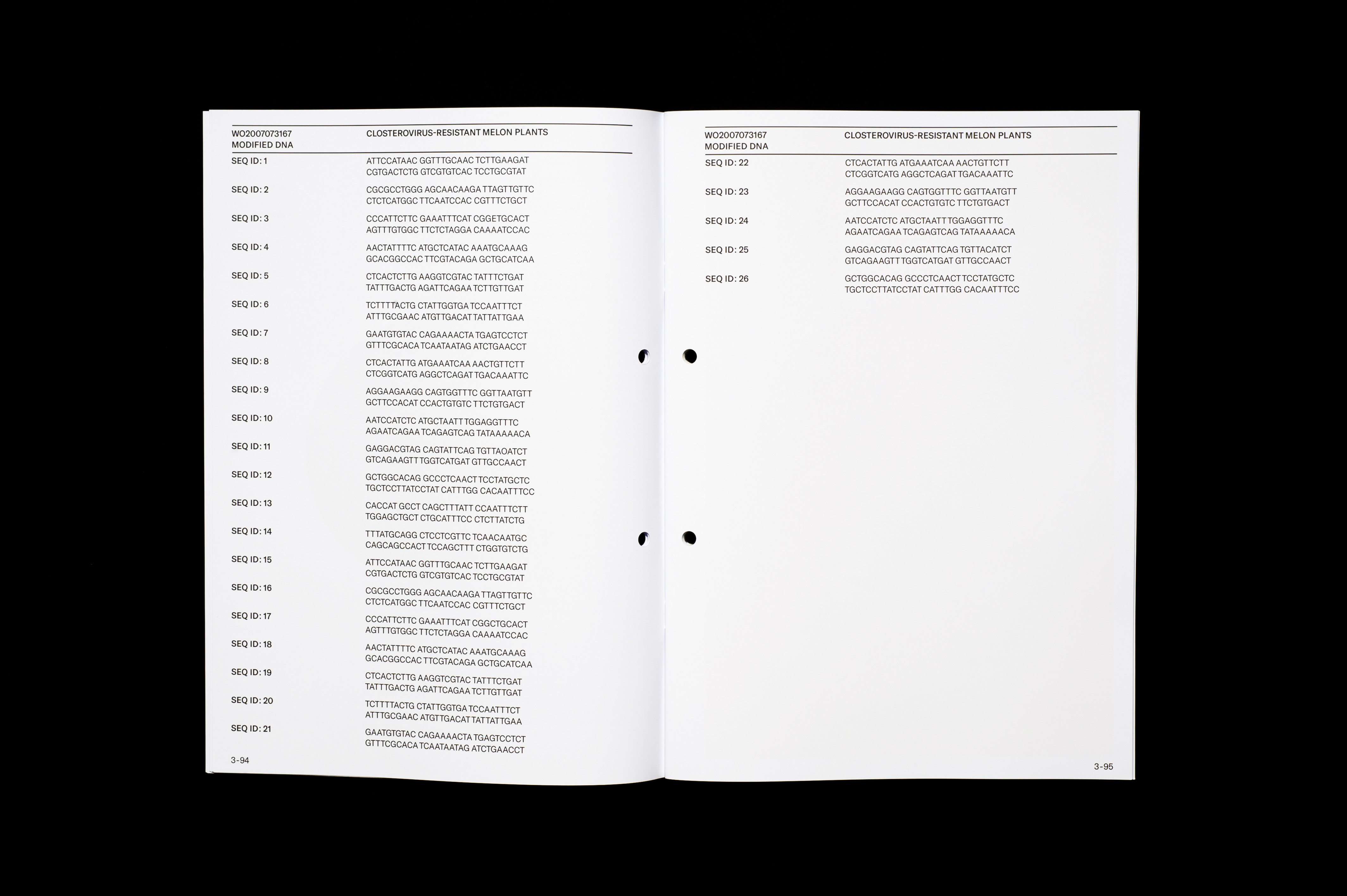 Bachelor Thesis image 4