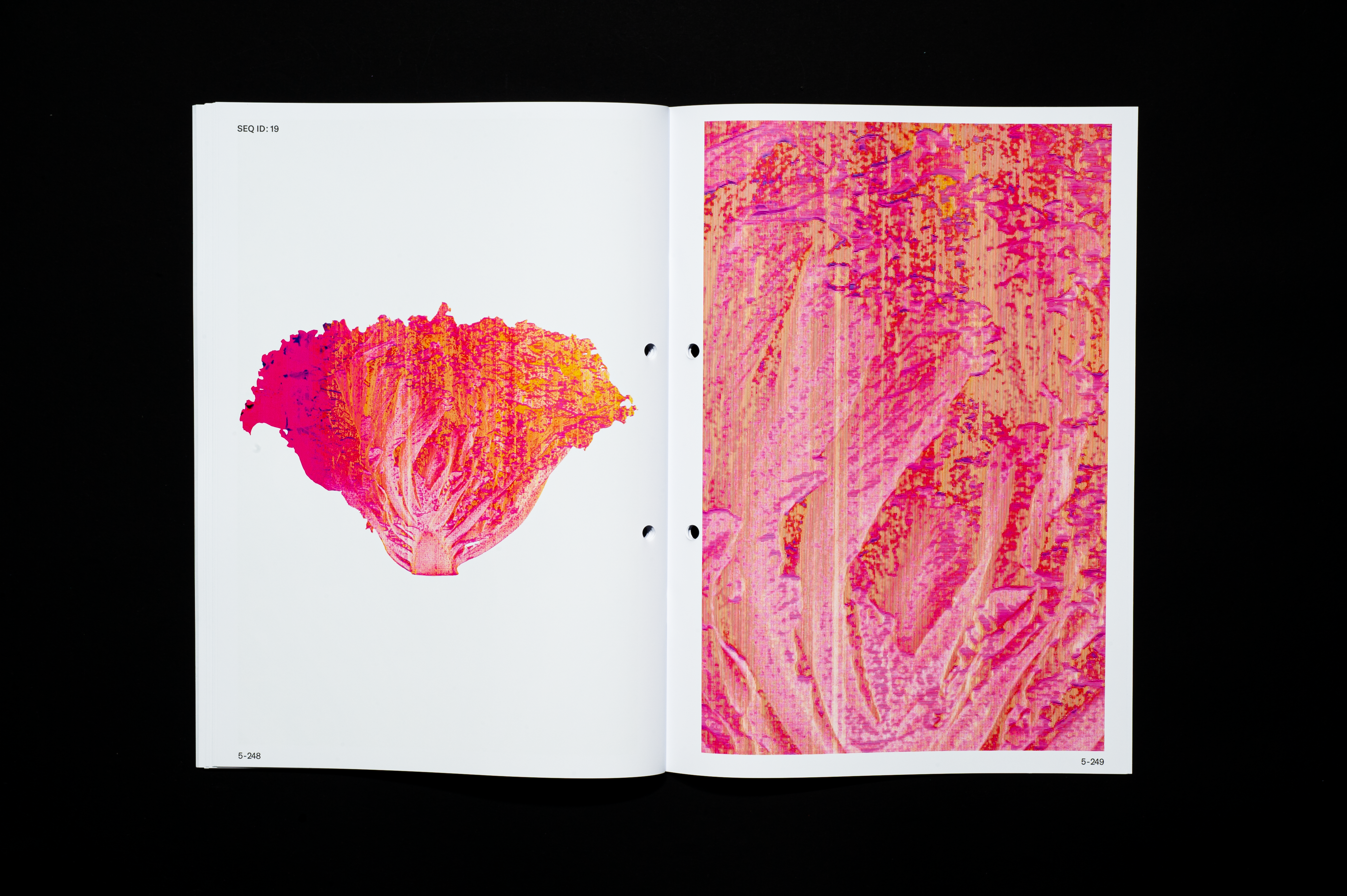 Bachelor Thesis image 7