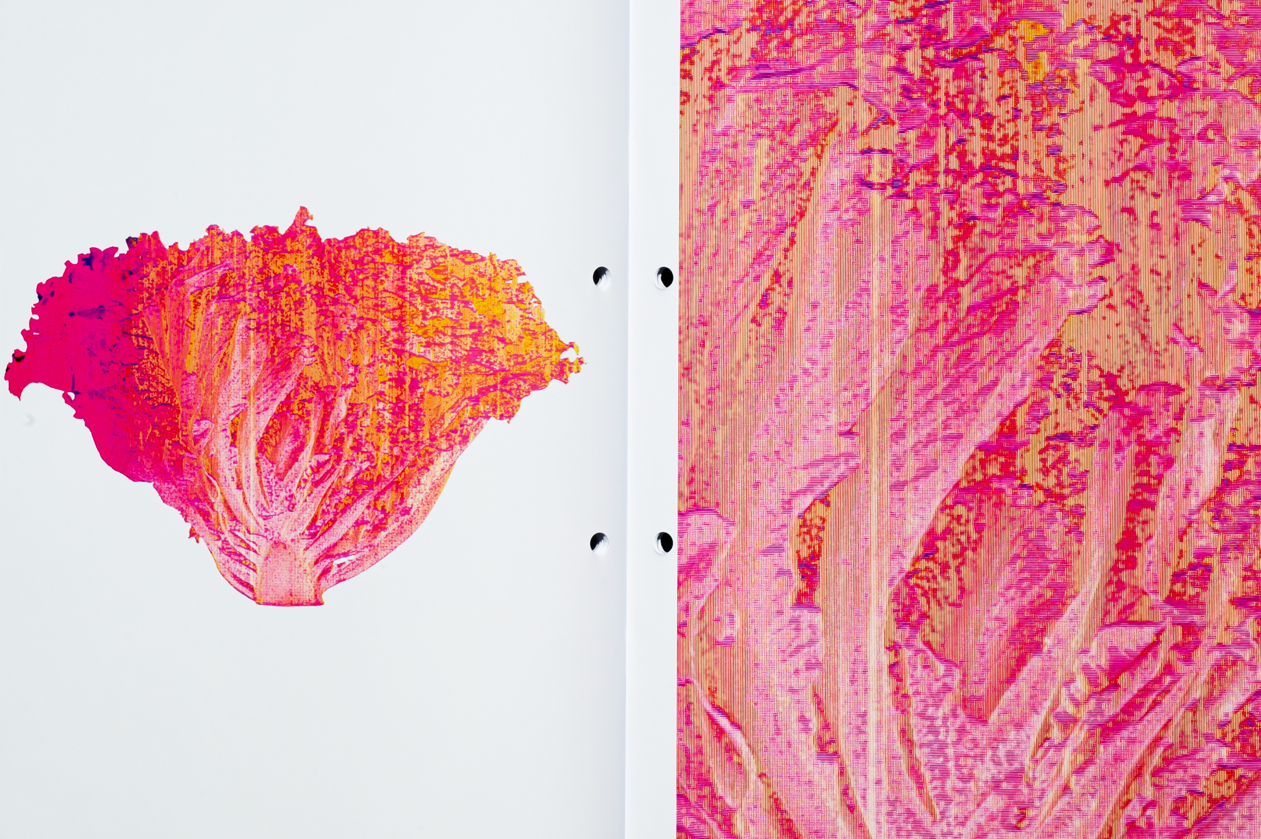 Bachelor Thesis image 8