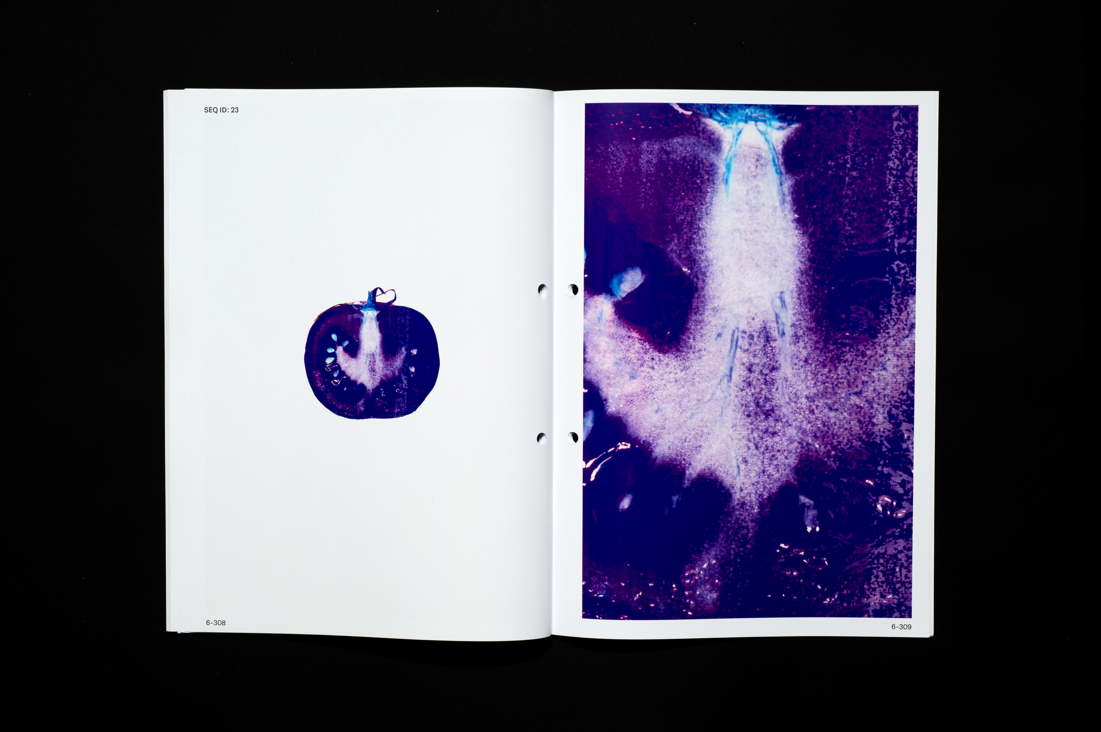 Bachelor Thesis image 9