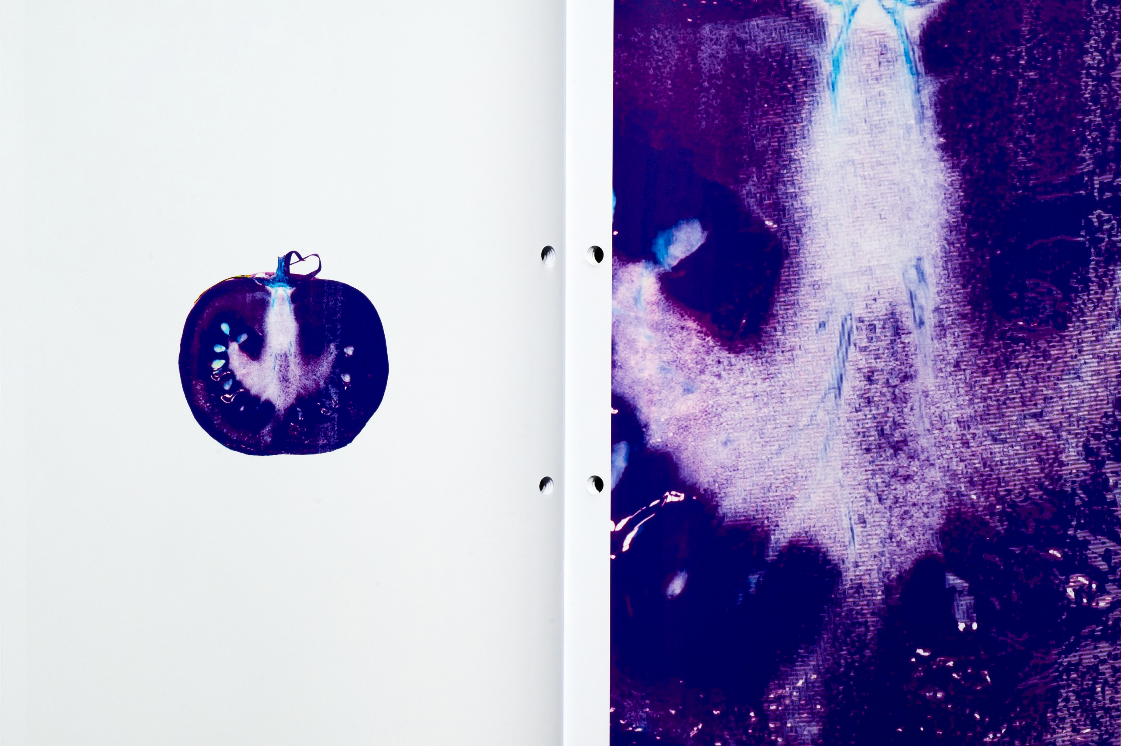 Bachelor Thesis image 10