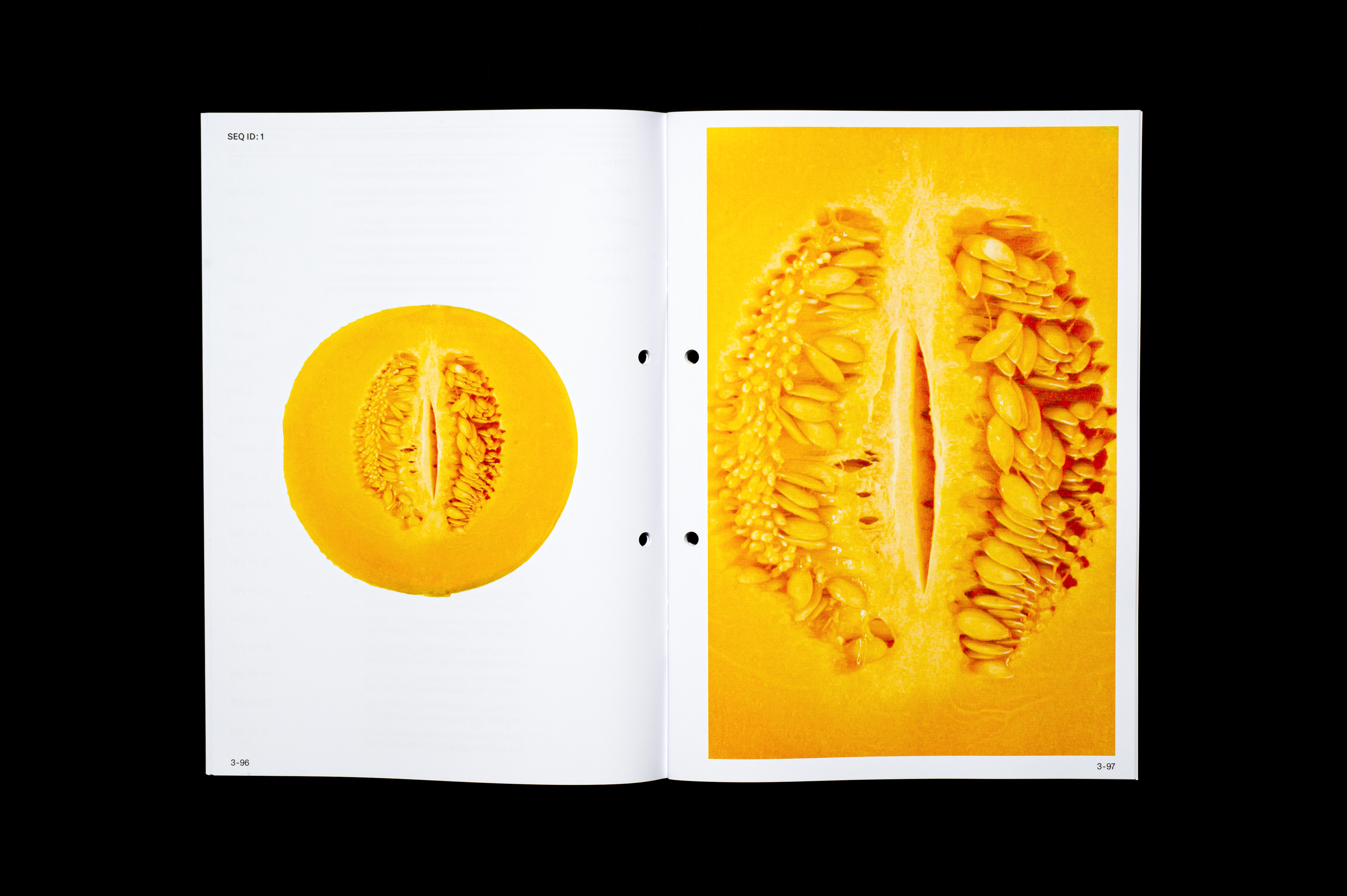 Bachelor Thesis image 5