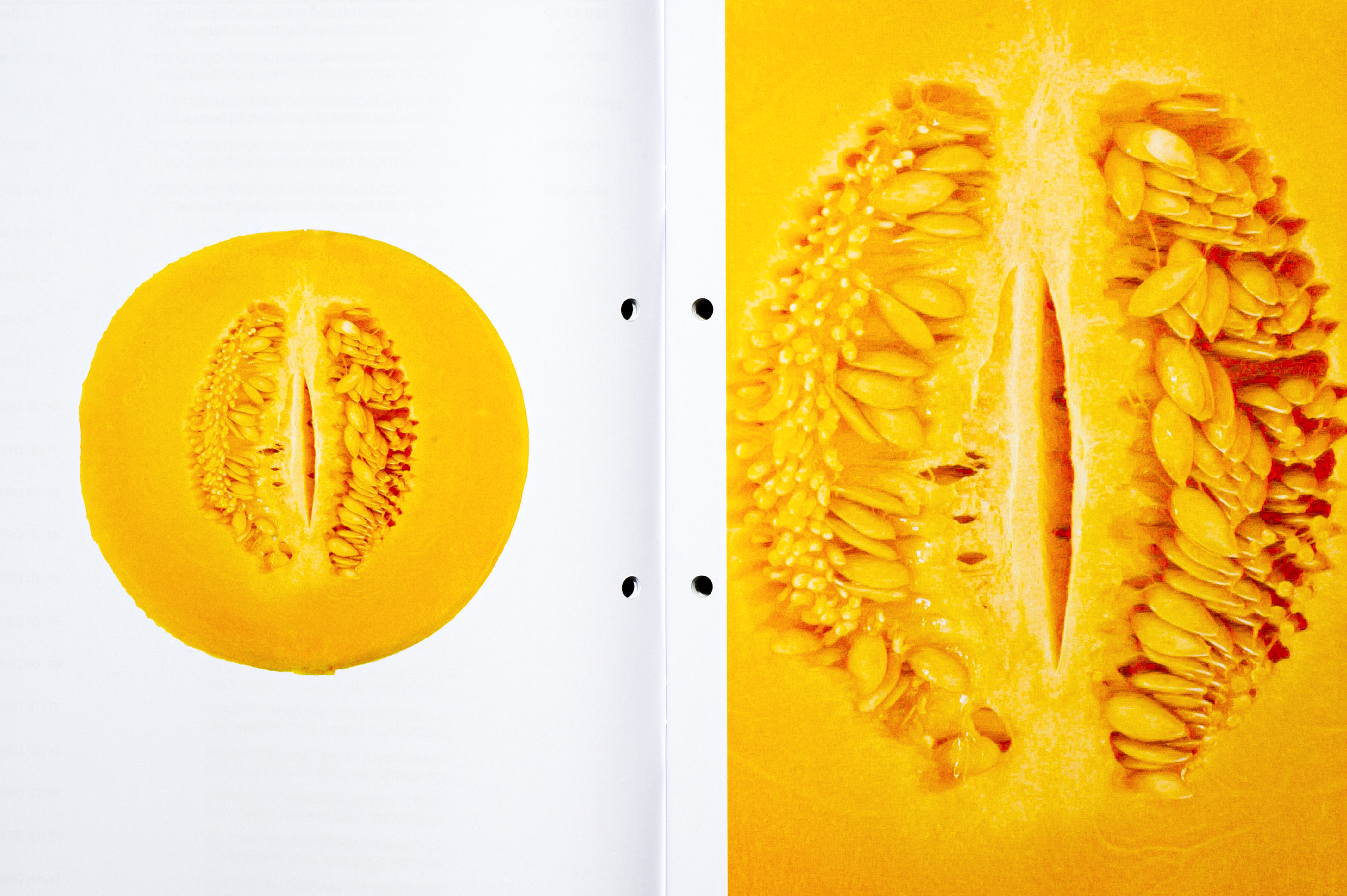 Bachelor Thesis image 6