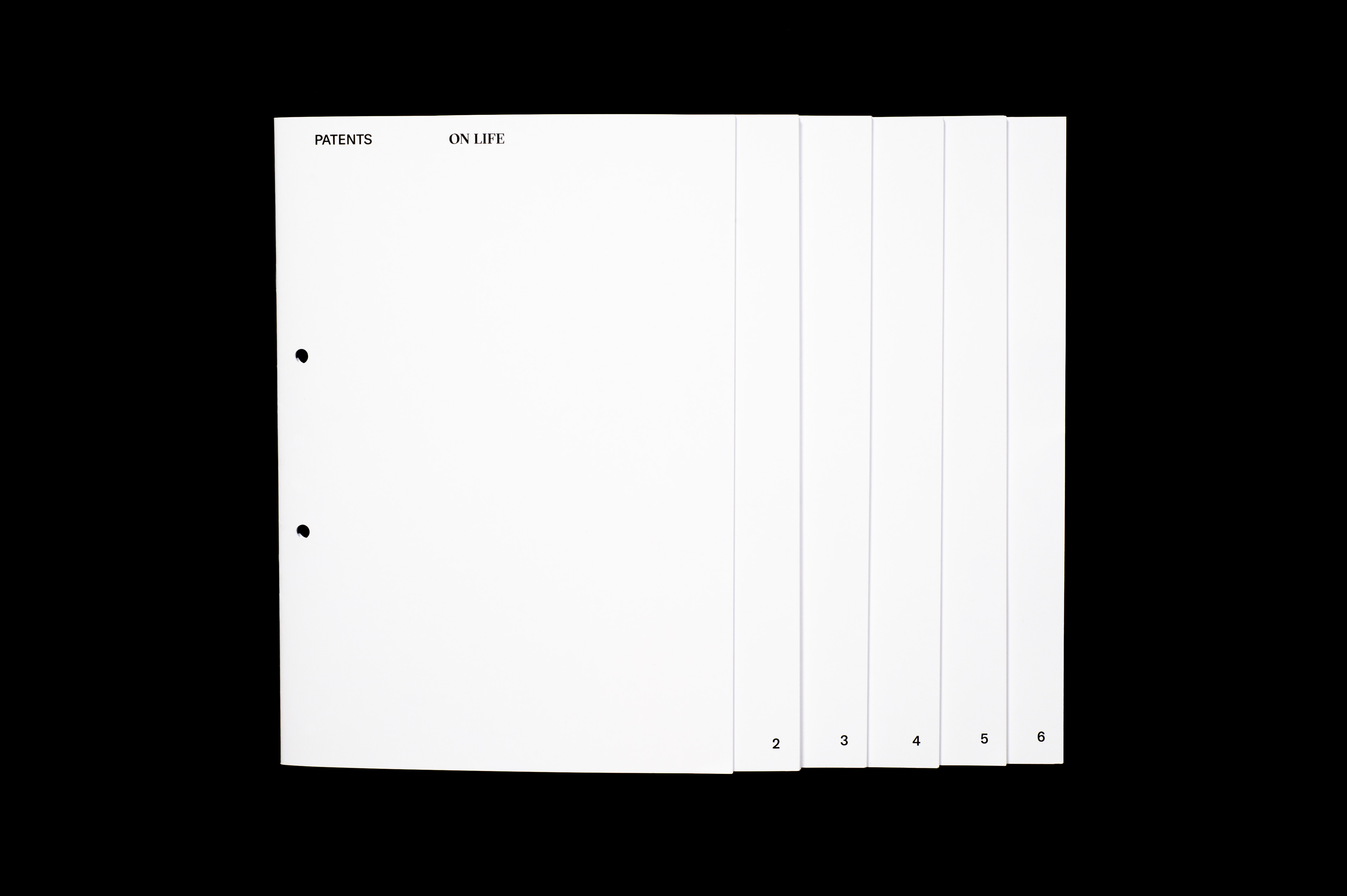 Bachelor Thesis image 1